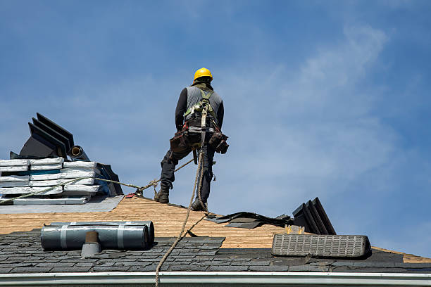 Professional Storm Damage Roof Repair technician working in Blue Ridge, AL
